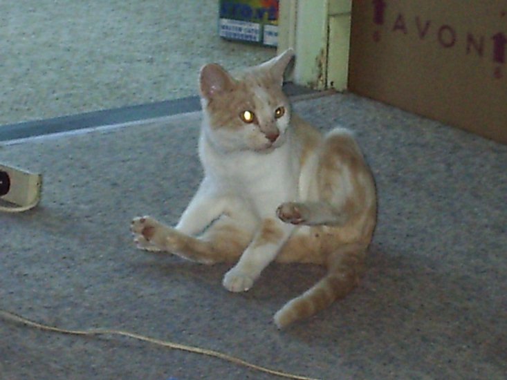 015thomas.jpg